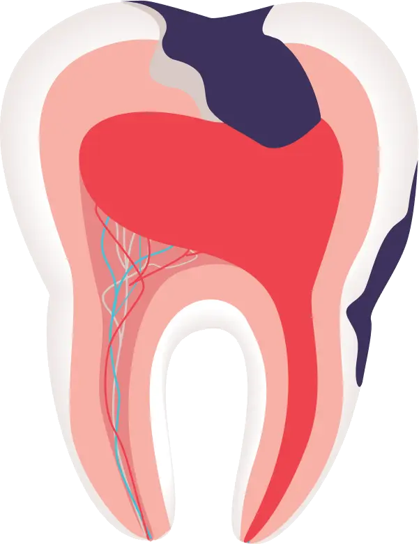 EK Dental Tooth Diagram